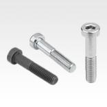 Socket head screws low head DIN 6912