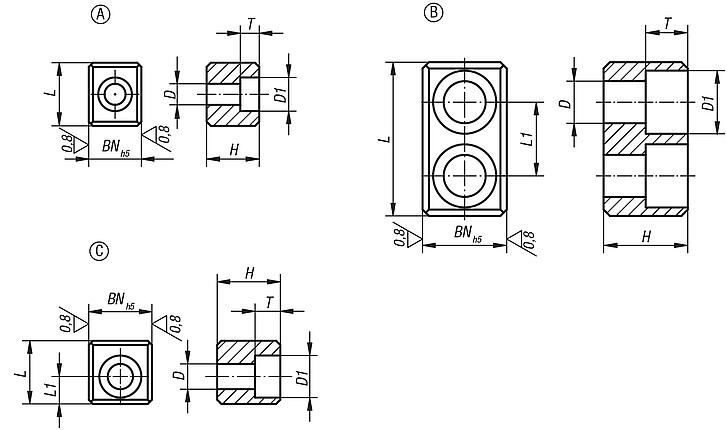 Carrier keysDIN 2079