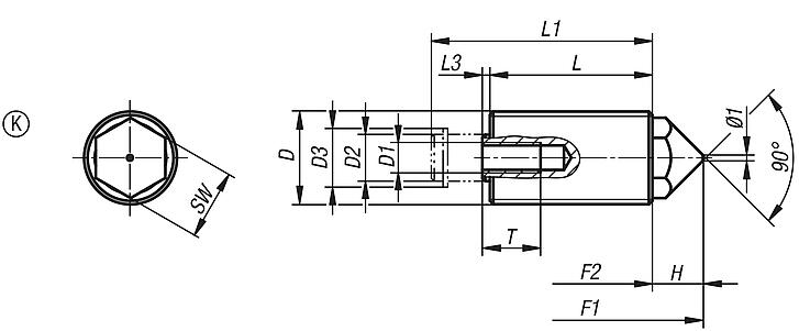 Push-Pull spring plungers with rotation lock Form K