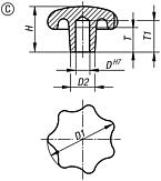 星形旋钮，DIN 6336，灰口铸铁材质，C 型，盲孔，英制