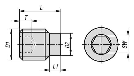 Grub screws with hex socket and pin DIN EN ISO 4028