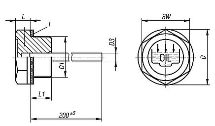 Screw plugs with dipstick, Form A