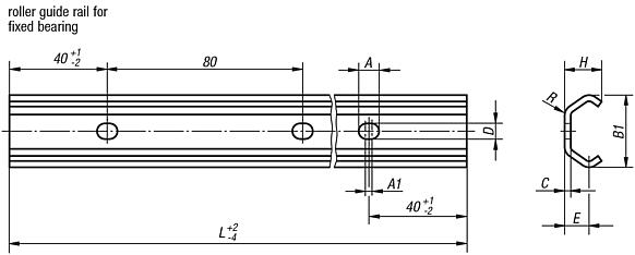 Roller guide rails for fixed bearing