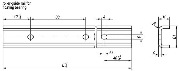 Roller guide rails for floating bearing