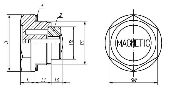 Screw plugs with magnet