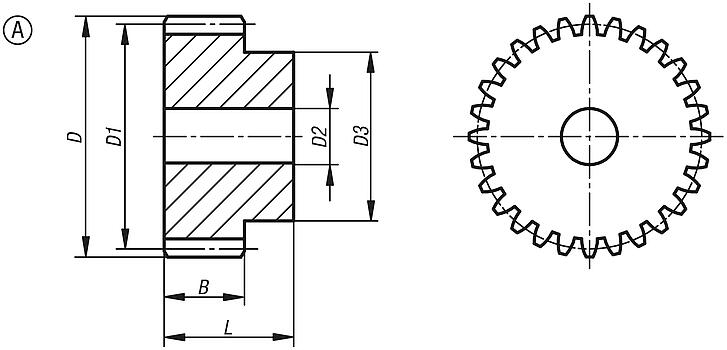 Steel spur gears, module 5, milled toothing, straight-tooth design, 20° engagement angle, 
Form A, with hub